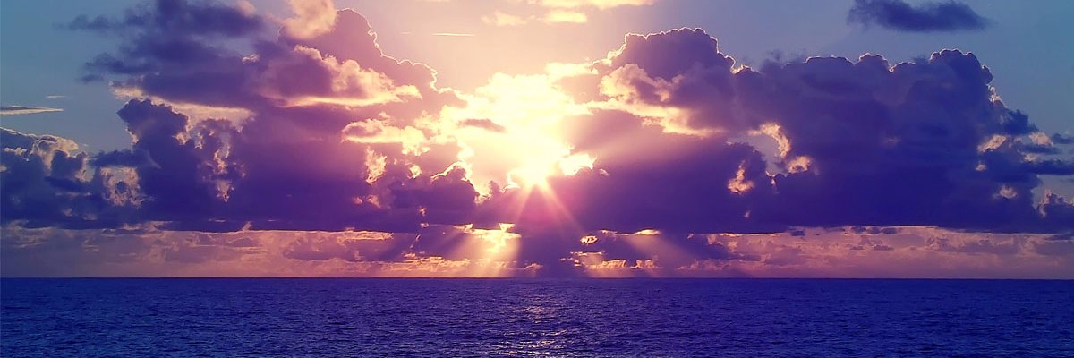 NinaCurtisM's profile banner image