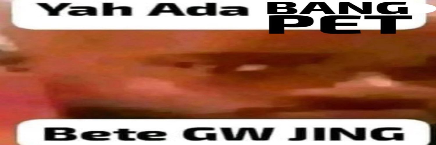 bang pet banner