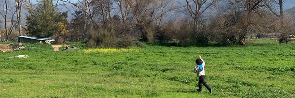 CL_Mujica Profile Banner