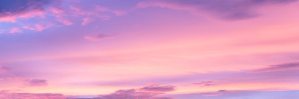 saffbuchanan_'s profile banner image