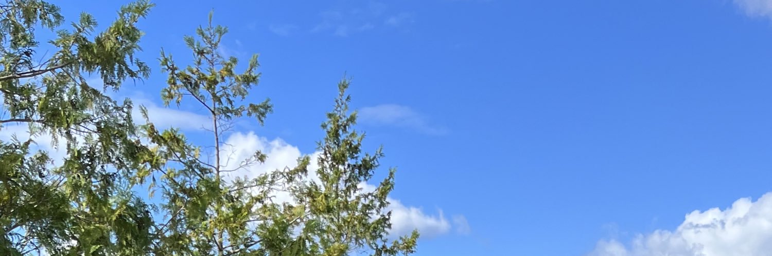 ぽんちんぱん banner