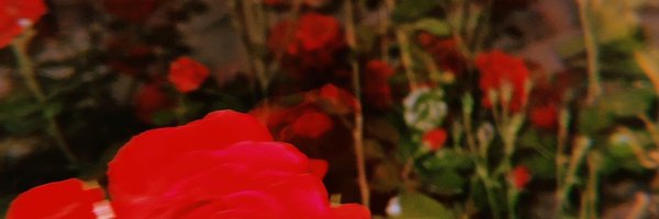 _pjsaturns Profile Banner