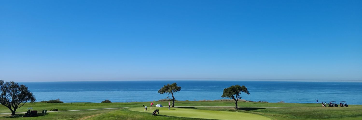 이산⛸🎯🏐⛳SooriSoori🌷🎗🕯 banner