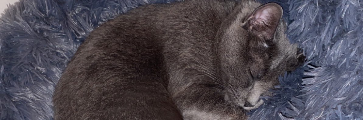 CindyChvl's profile banner image