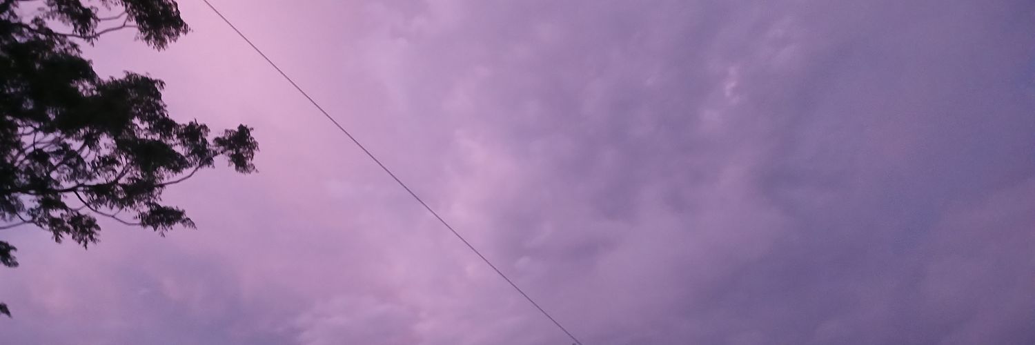 MeganBrande's profile banner image