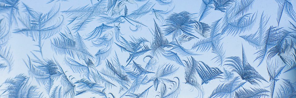 Jaline😷🇺🇦🍁 banner