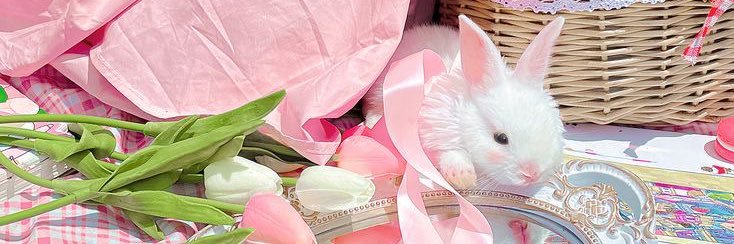 ⊹☁️🐰♡FV♡🐇💭𓈒˚ banner