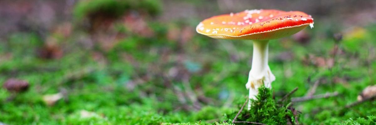 Bully Billionaires ☭∞🌈 banner