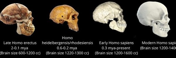 SuCarrascal Profile Banner