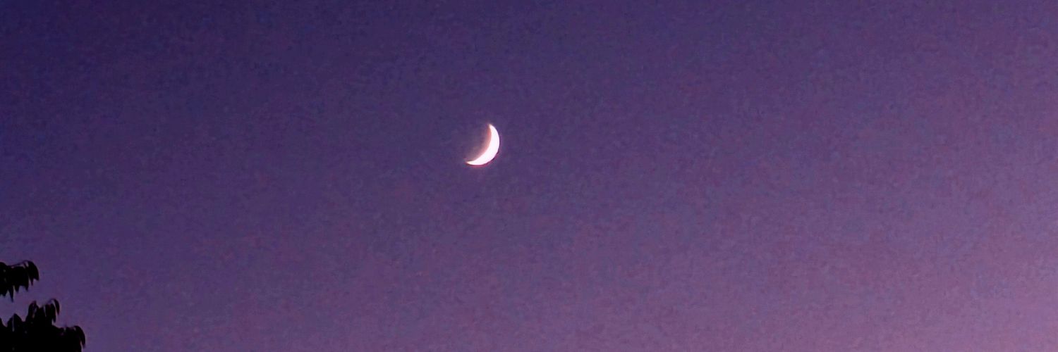 peacefullmeter's profile banner image