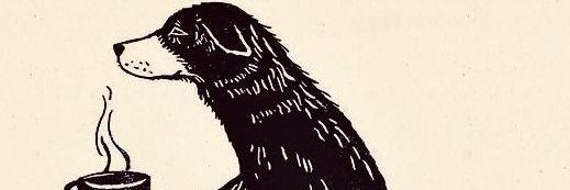 alejopidki's profile banner image