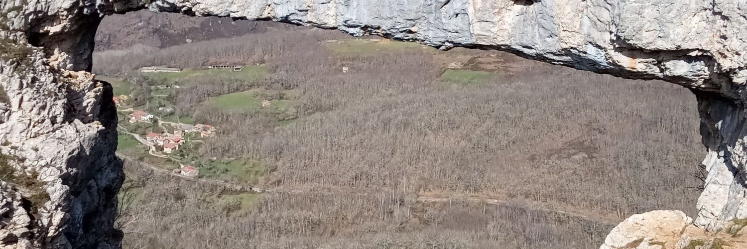 WellnessGbb2's profile banner image