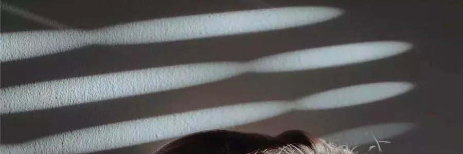 AnselCotton2b banner