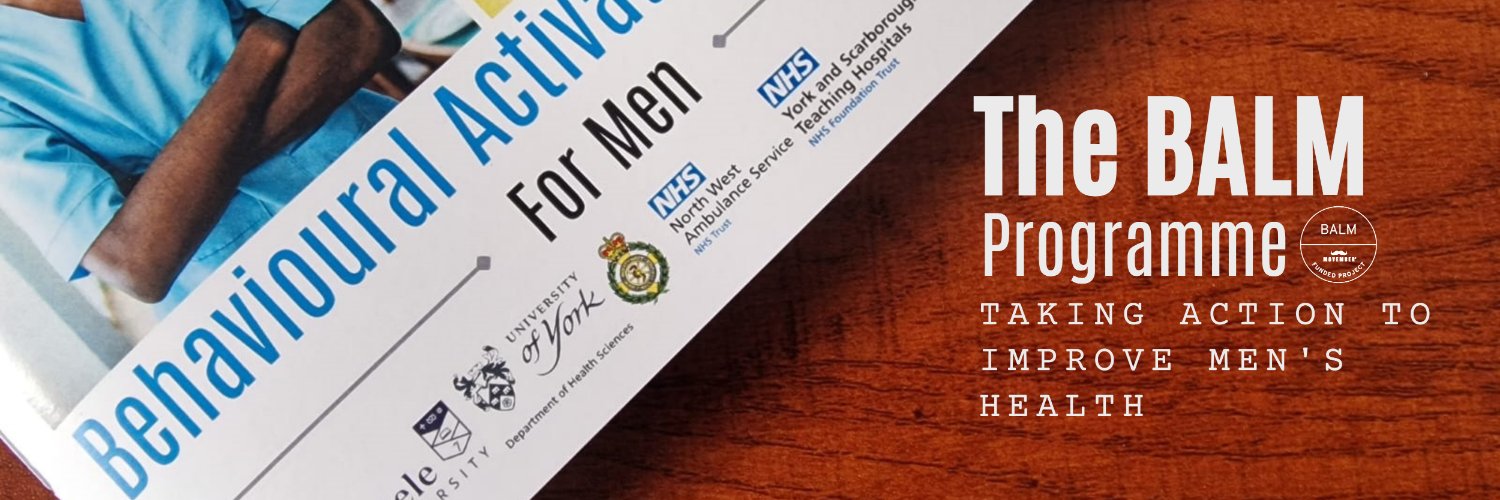 BALM programme banner