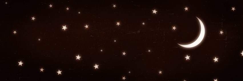 von Bork banner