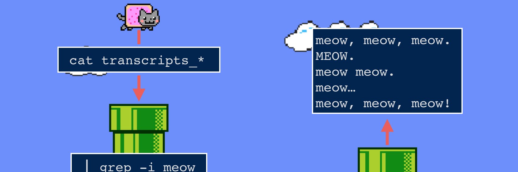 Michelle Steigerwalt banner