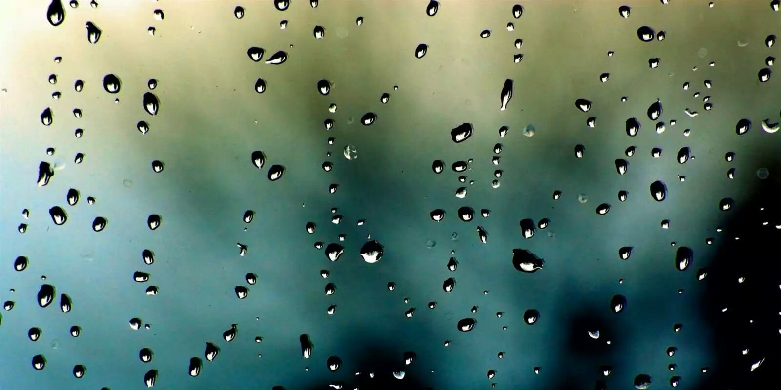 BandaxBanda's profile banner image