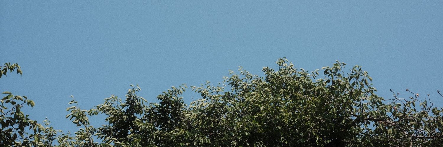 _lsssssy's profile banner image