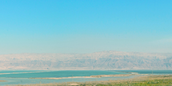 Ohad Barda banner