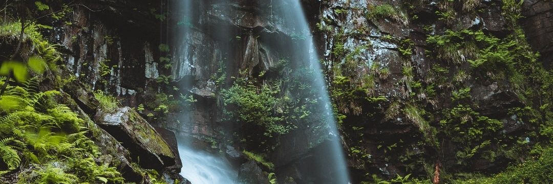 CeasarBurlinga2's profile banner image