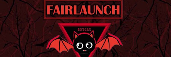 Bat Cat Profile Banner