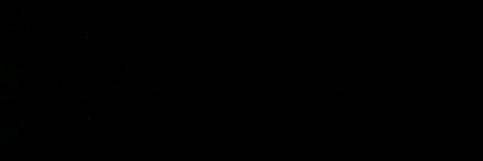 🤍 banner