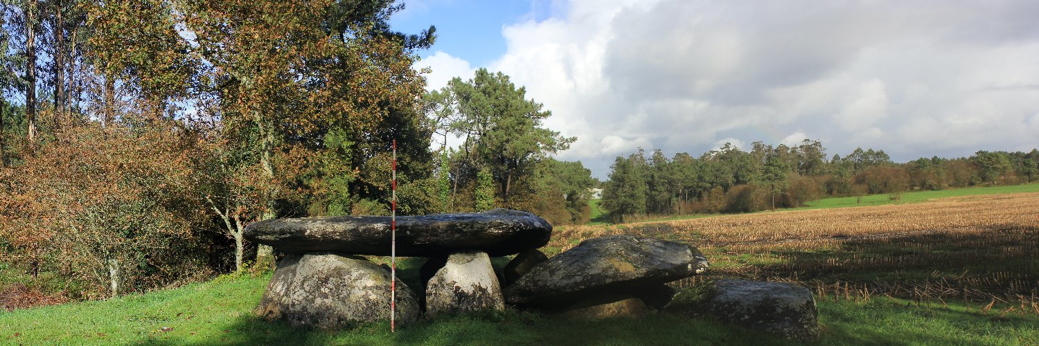 Gail Higginbottom banner