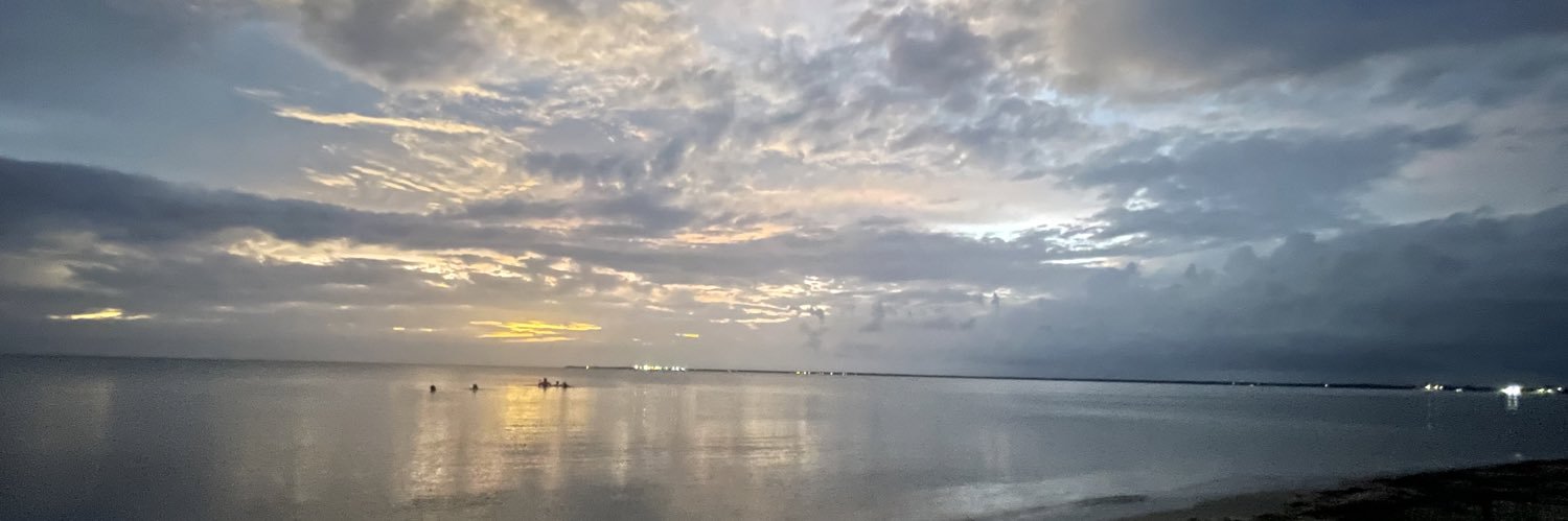 roseldavidm's profile banner image