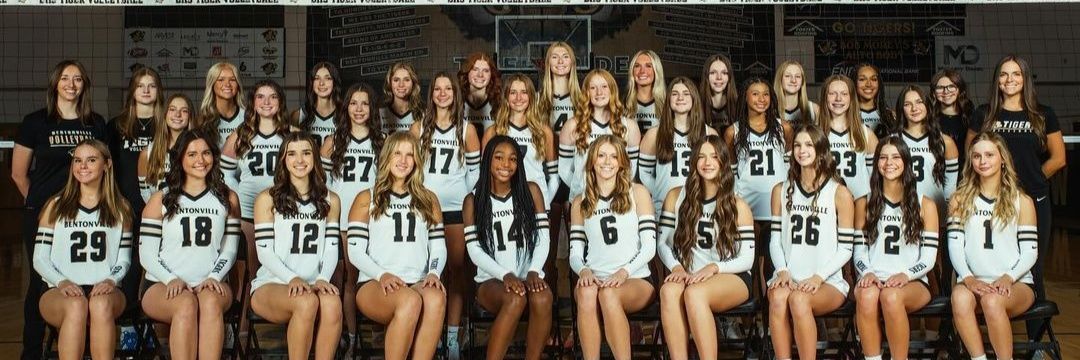 Ady Bollinger banner