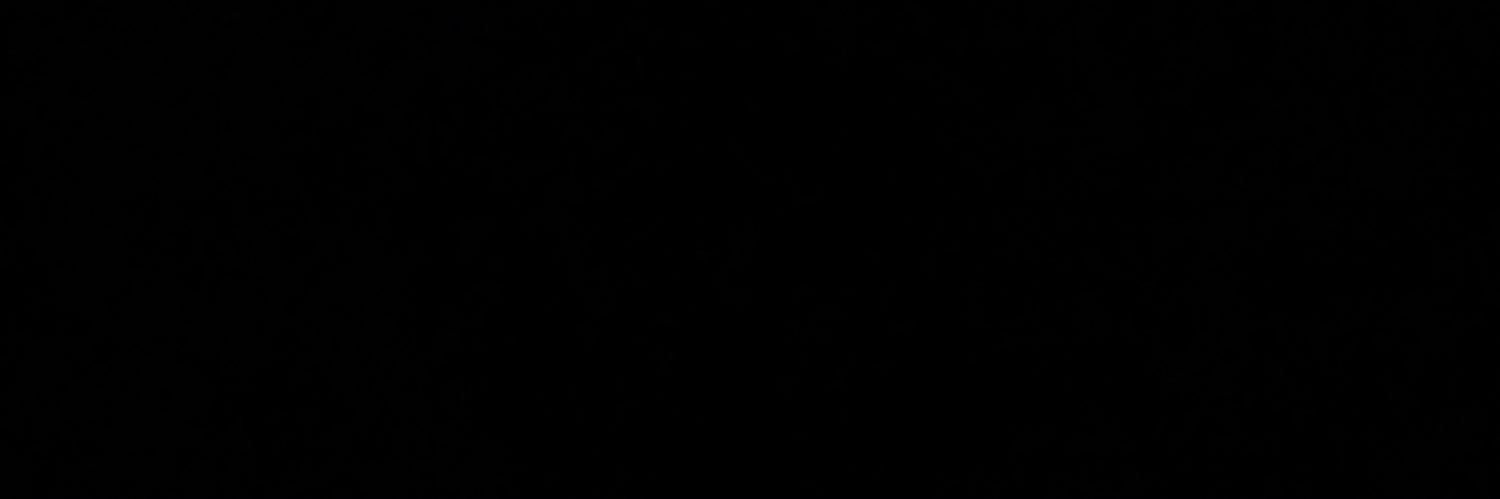 Will Schmidt banner