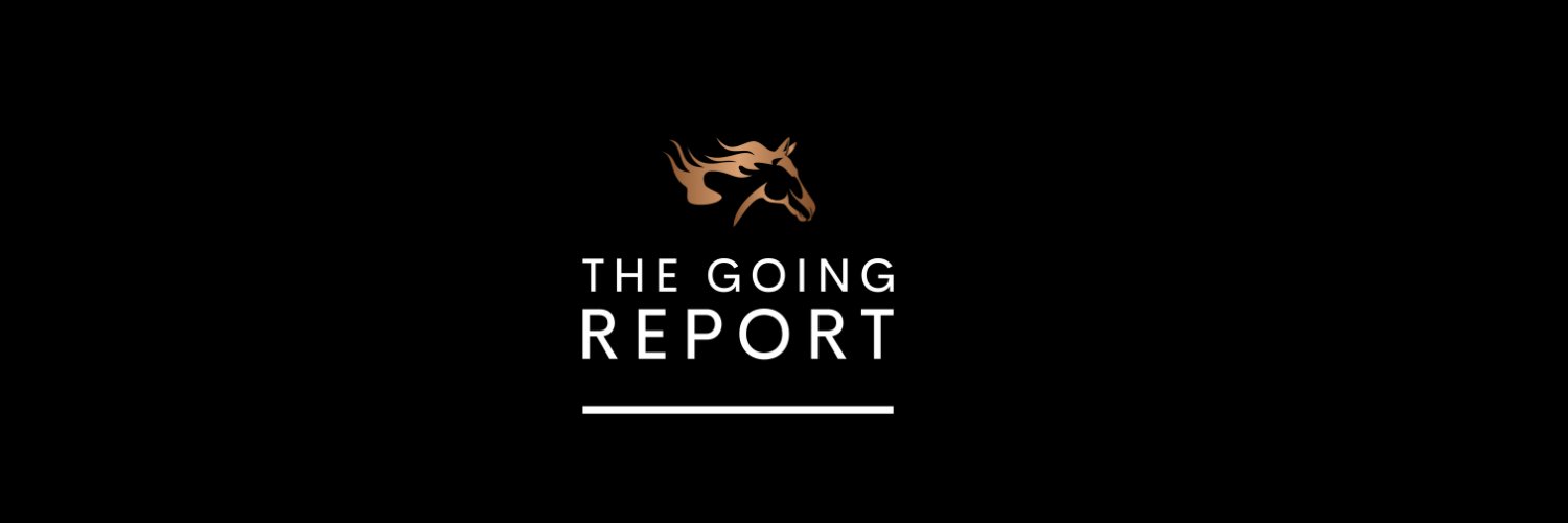 TheGoingReport's profile banner image
