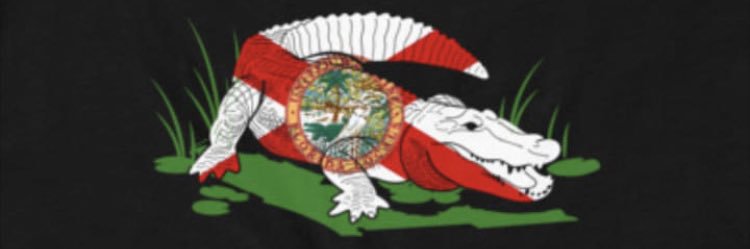 Redseashell1967's profile banner image