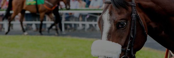 LisaLazarusCEO Profile Banner