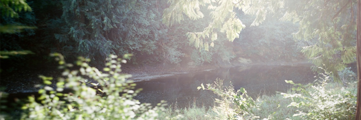 benjiwagner's profile banner image