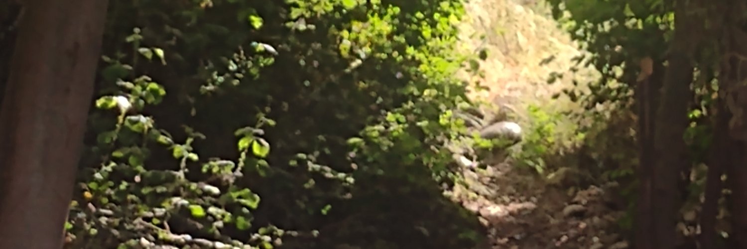 andresivanagui2's profile banner image