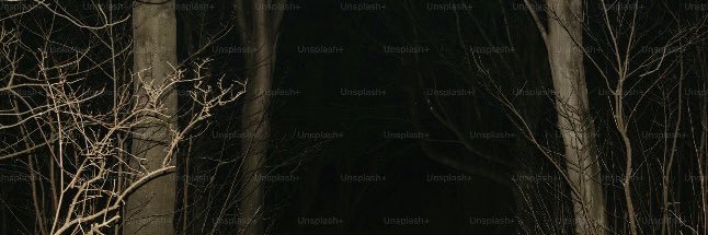 h banner