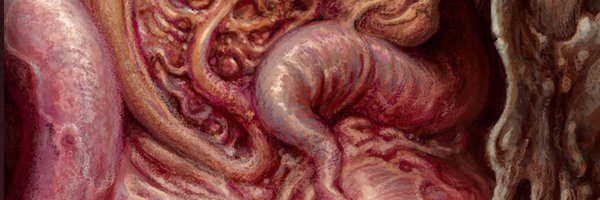 _ratbeetles_ Profile Banner