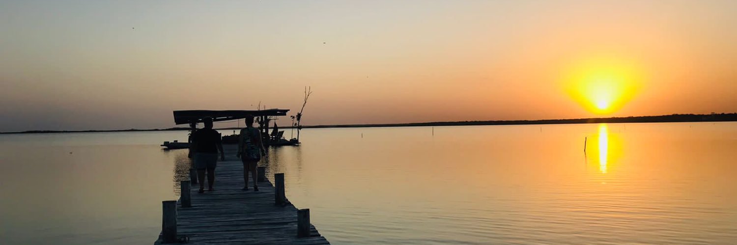 turquesa9's profile banner image