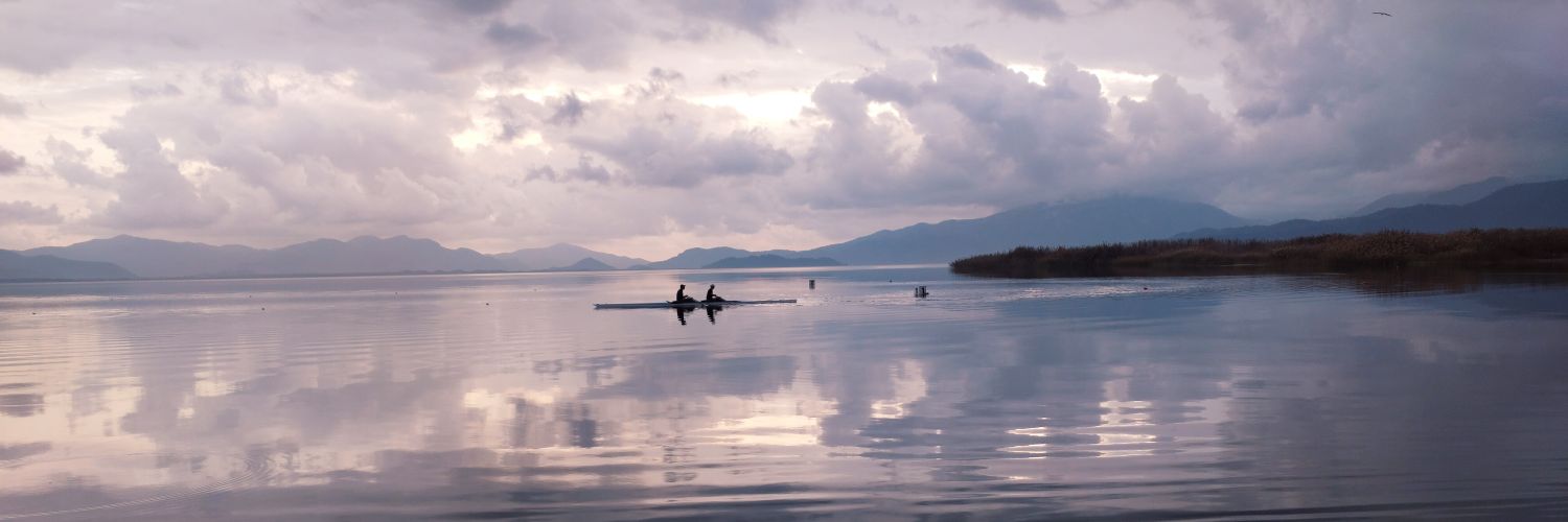 Verba Volant Scripta Manent banner