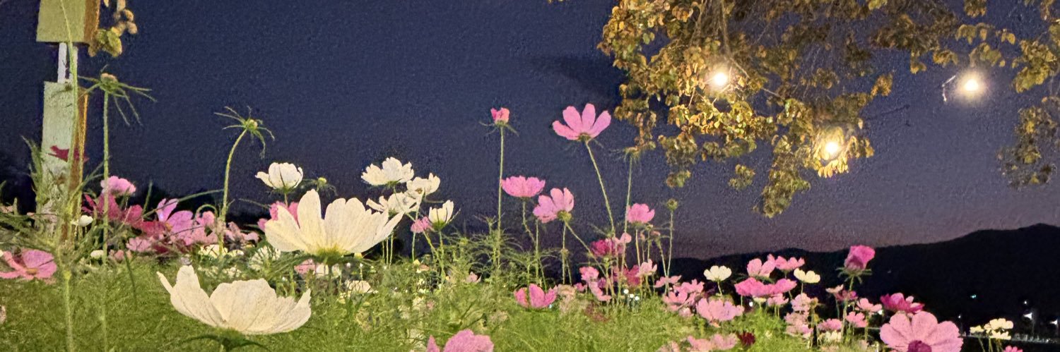ImConNe_'s profile banner image