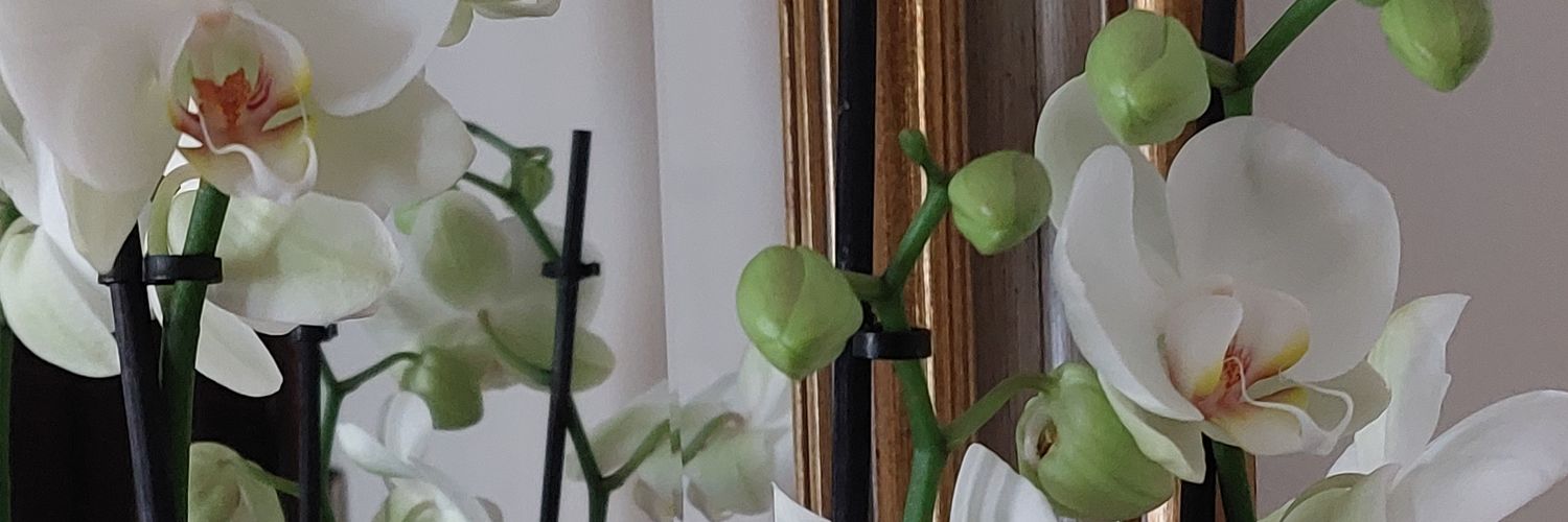 matziast's profile banner image