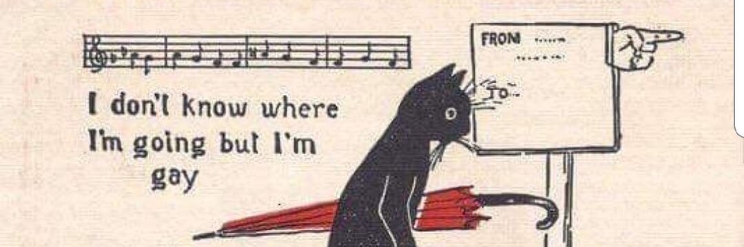 angie 🏳️‍⚧️ banner