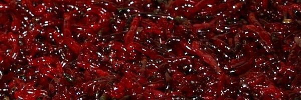 MetaRusher's profile banner image