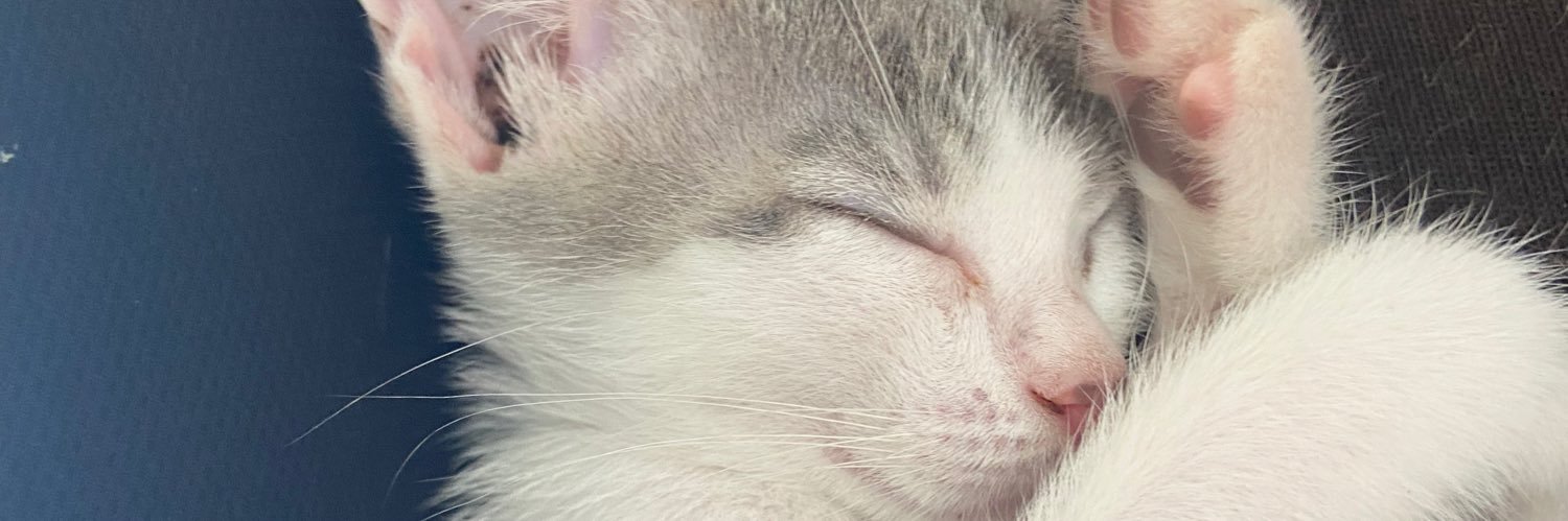 _Bortolinii's profile banner image