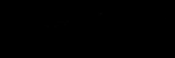 sifutoshi banner