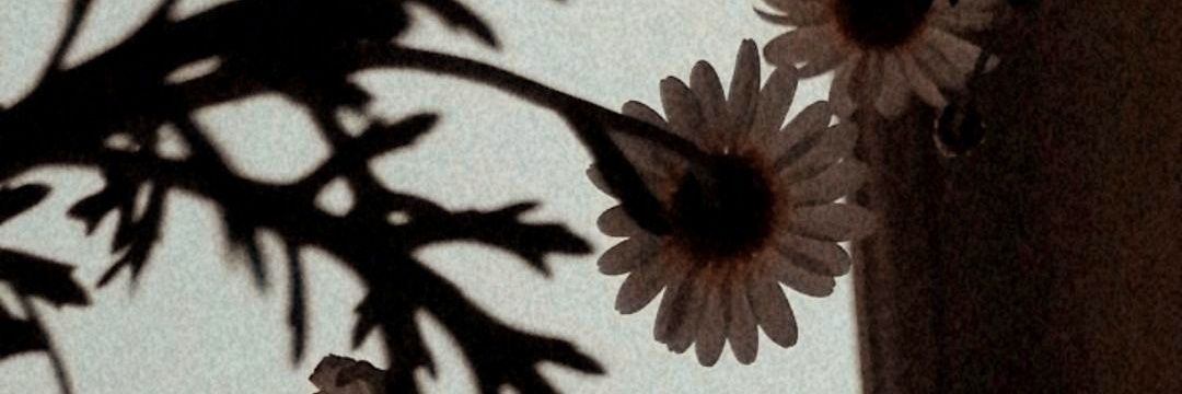 edamnmnn's profile banner image
