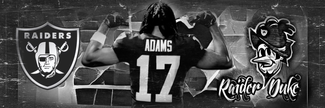 VancityRaider🇨🇦 banner