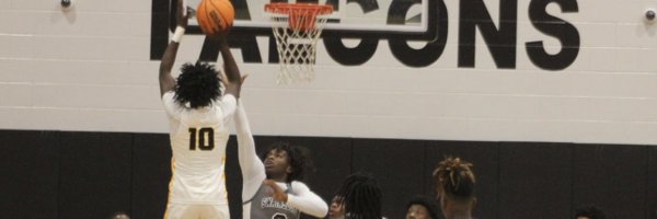 shund_3 Profile Banner