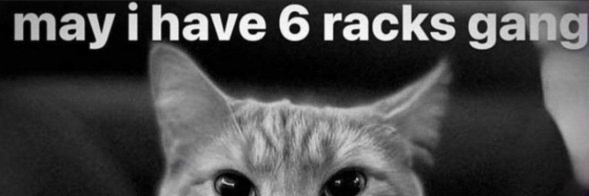 hahaha teehee banner