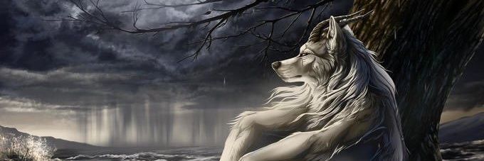 wolter6231's profile banner image